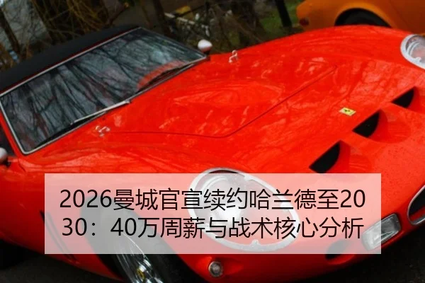 man-cheng-guan-xuan-xu-yue-ha-lan-de-zhi-wan-zhou-xin-yu-zhan-shu-he-xin-fen-xi-2-541.jpg