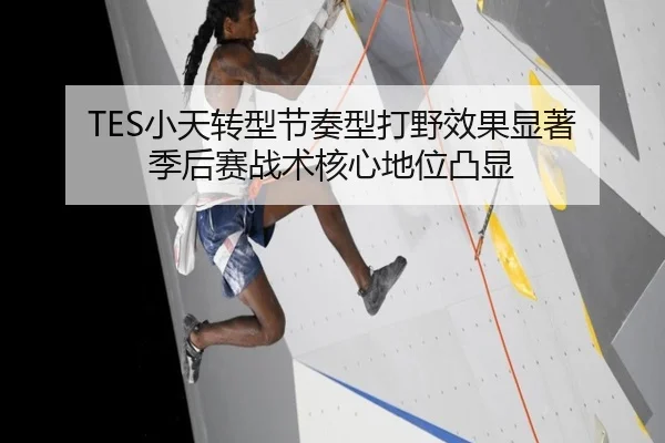 TES小天转型节奏型打野效果显著 季后赛战术核心地位凸显